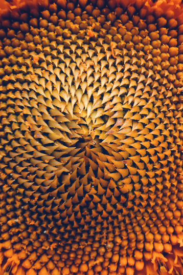 Sparringspartnerin_mitdenken-macht-den-Unterschied_360px Sparringspartnerin mitdenken macht den